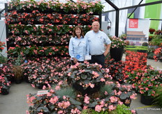 Gundula Wagner at Benary, together with account manager Fulco Spithoven. Here they present the Begony Big (available in 6 colours) and Big Delux (available in 4 colours) Series.